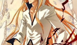 动漫同人,动漫同生的奇幻旅程